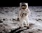 Apollo 11 Astronaut Buzz Aldrin on the Moon, July 20, 1969 by McMahan Photo Archive Wall Art Décor 8 x 10 Art Print